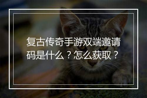 复古传奇手游双端邀请码是什么？怎么获取？