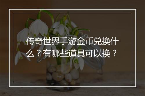 传奇世界手游金币兑换什么？有哪些道具可以换？