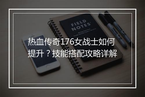 热血传奇176女战士如何提升？技能搭配攻略详解