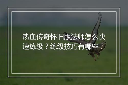 热血传奇怀旧版法师怎么快速练级？练级技巧有哪些？