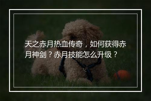 天之赤月热血传奇，如何获得赤月神剑？赤月技能怎么升级？