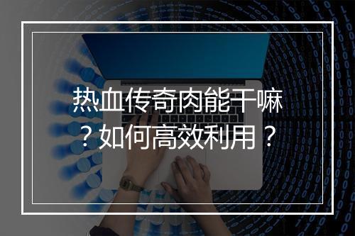 热血传奇肉能干嘛？如何高效利用？