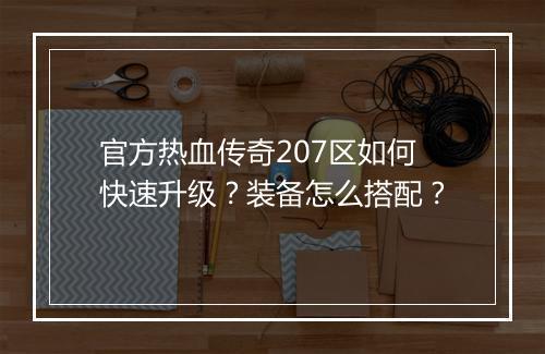 官方热血传奇207区如何快速升级？装备怎么搭配？