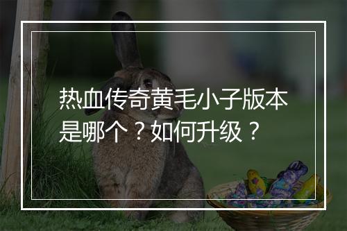 热血传奇黄毛小子版本是哪个？如何升级？