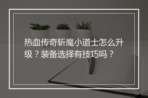 热血传奇斩魔小道士怎么升级？装备选择有技巧吗？