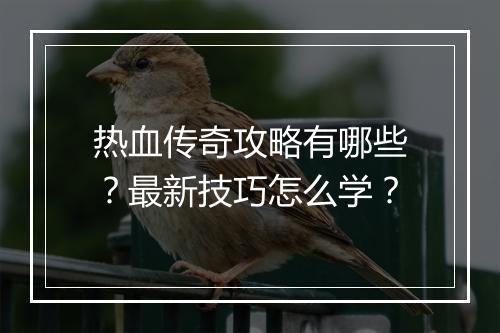 热血传奇攻略有哪些？最新技巧怎么学？