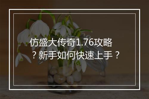 仿盛大传奇1.76攻略？新手如何快速上手？