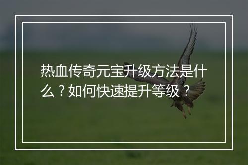 热血传奇元宝升级方法是什么？如何快速提升等级？