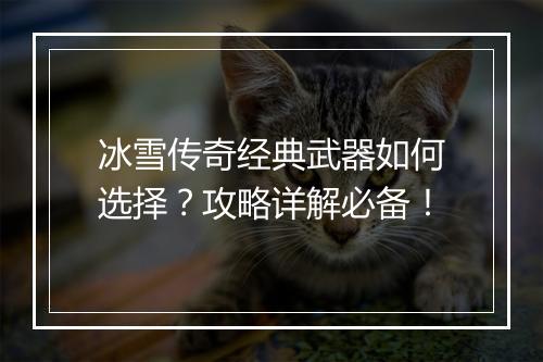 冰雪传奇经典武器如何选择？攻略详解必备！