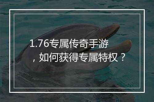 1.76专属传奇手游，如何获得专属特权？