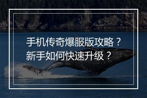 手机传奇爆服版攻略？新手如何快速升级？