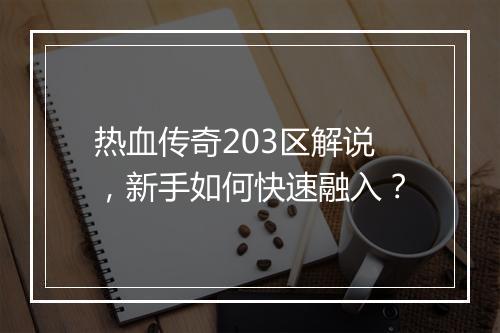 热血传奇203区解说，新手如何快速融入？