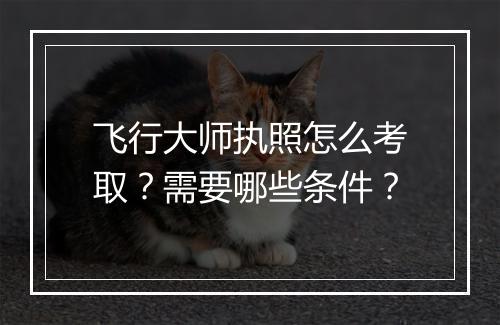 飞行大师执照怎么考取？需要哪些条件？