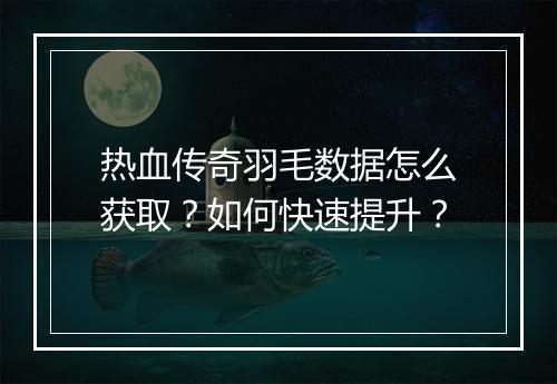 热血传奇羽毛数据怎么获取？如何快速提升？