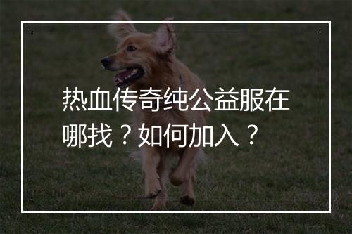 热血传奇纯公益服在哪找？如何加入？