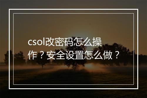 csol改密码怎么操作？安全设置怎么做？