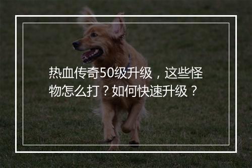 热血传奇50级升级，这些怪物怎么打？如何快速升级？