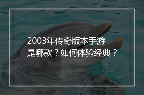 2003年传奇版本手游是哪款？如何体验经典？