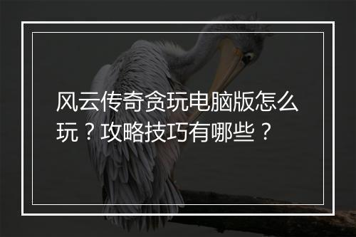 风云传奇贪玩电脑版怎么玩？攻略技巧有哪些？