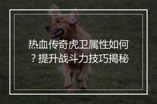 热血传奇虎卫属性如何？提升战斗力技巧揭秘