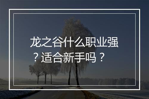 龙之谷什么职业强？适合新手吗？