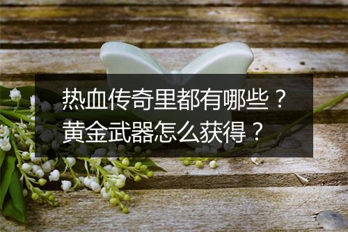 热血传奇里都有哪些？黄金武器怎么获得？