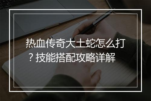 热血传奇大土蛇怎么打？技能搭配攻略详解
