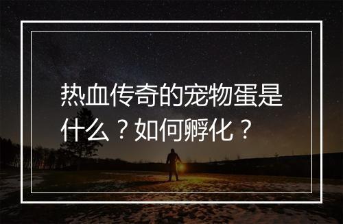热血传奇的宠物蛋是什么？如何孵化？