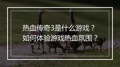 热血传奇3是什么游戏？如何体验游戏热血氛围？