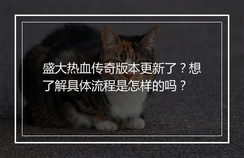 盛大热血传奇版本更新了？想了解具体流程是怎样的吗？