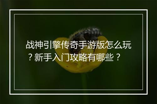 战神引擎传奇手游版怎么玩？新手入门攻略有哪些？