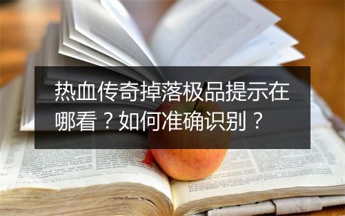 热血传奇掉落极品提示在哪看？如何准确识别？