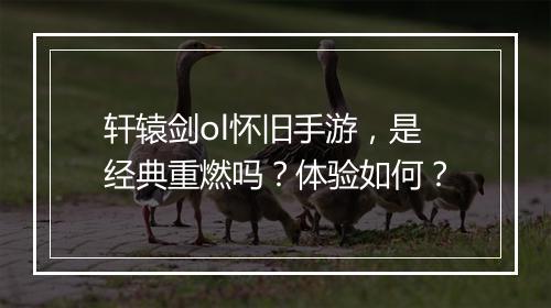 轩辕剑ol怀旧手游，是经典重燃吗？体验如何？