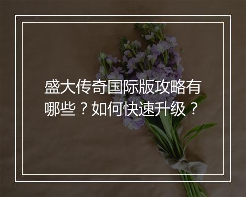 盛大传奇国际版攻略有哪些？如何快速升级？