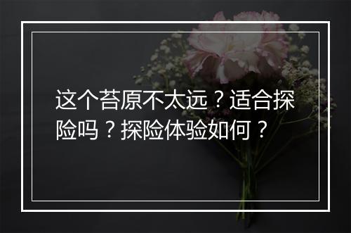 这个苔原不太远？适合探险吗？探险体验如何？