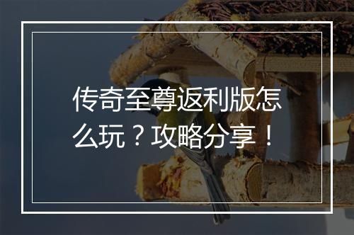 传奇至尊返利版怎么玩？攻略分享！