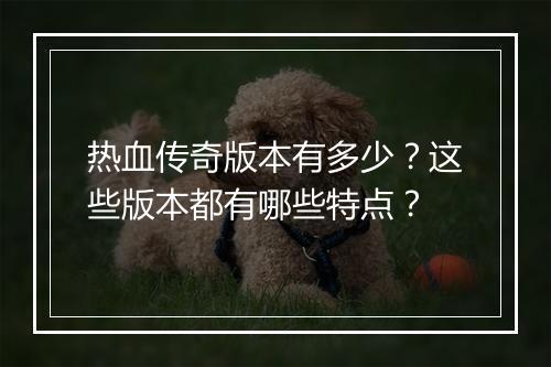 热血传奇版本有多少？这些版本都有哪些特点？