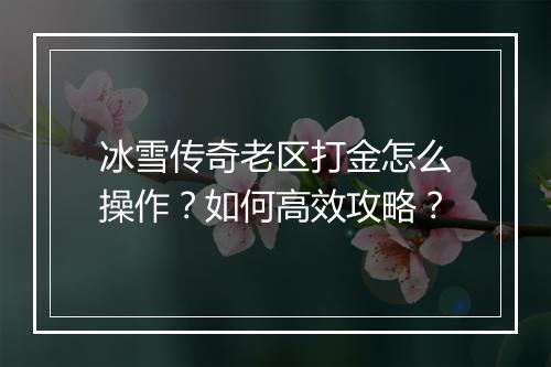 冰雪传奇老区打金怎么操作？如何高效攻略？