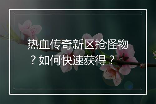 热血传奇新区抢怪物？如何快速获得？