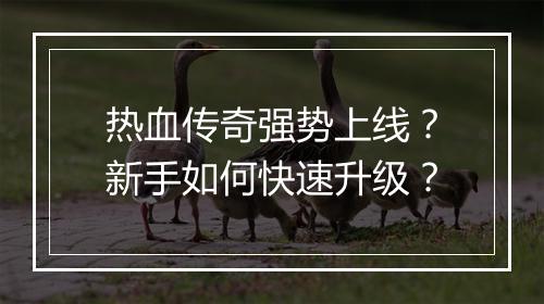 热血传奇强势上线？新手如何快速升级？