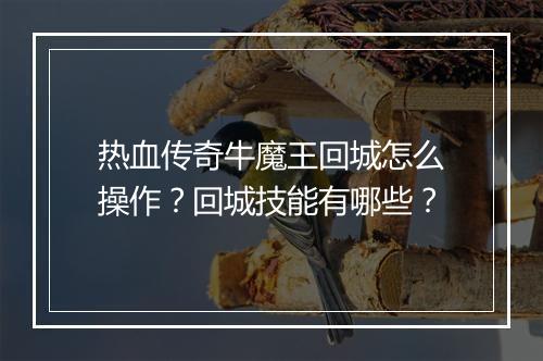 热血传奇牛魔王回城怎么操作？回城技能有哪些？
