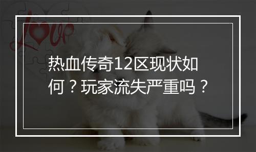 热血传奇12区现状如何？玩家流失严重吗？