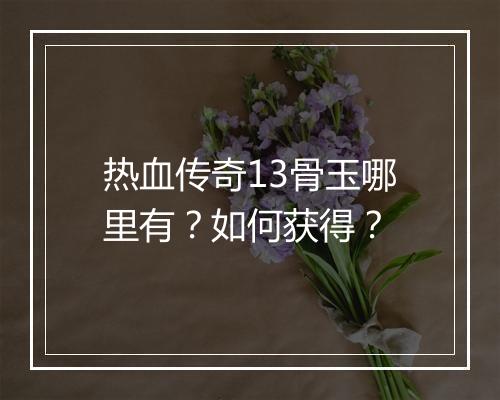 热血传奇13骨玉哪里有？如何获得？