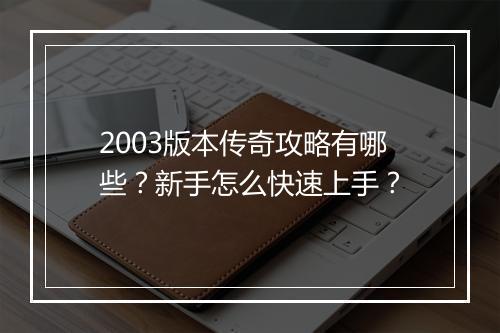 2003版本传奇攻略有哪些？新手怎么快速上手？