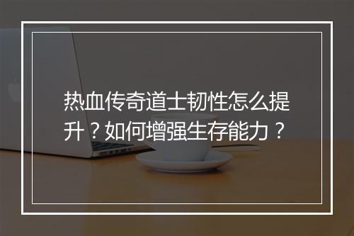 热血传奇道士韧性怎么提升？如何增强生存能力？