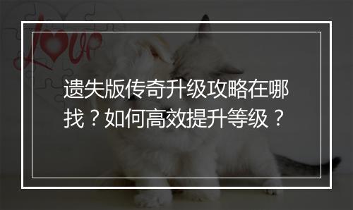 遗失版传奇升级攻略在哪找？如何高效提升等级？