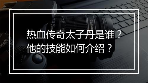 热血传奇太子丹是谁？他的技能如何介绍？