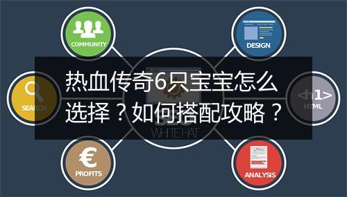 热血传奇6只宝宝怎么选择？如何搭配攻略？