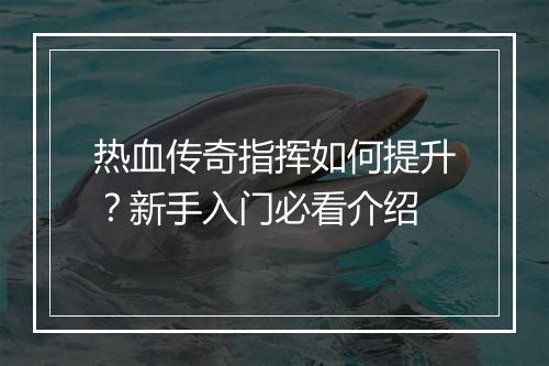 热血传奇指挥如何提升？新手入门必看介绍