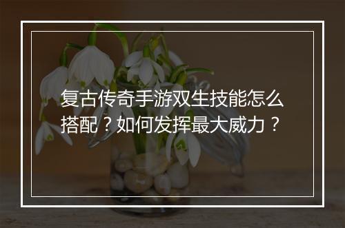 复古传奇手游双生技能怎么搭配？如何发挥最大威力？